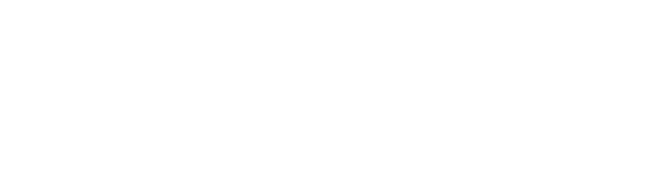 Connect Academy